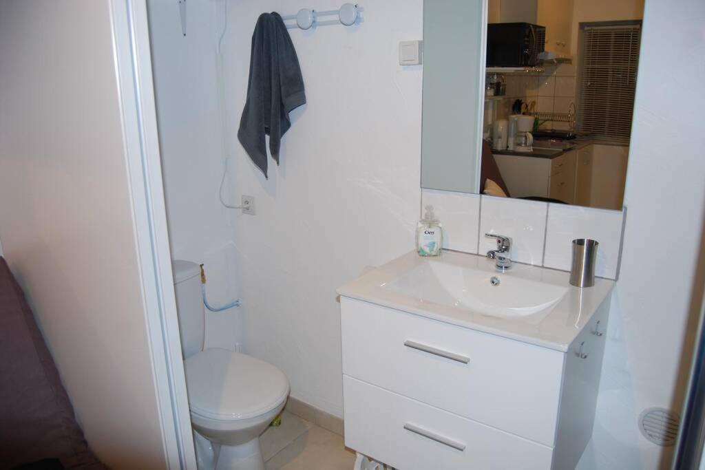 L'Atelier A 100 M De Tarbes Sud Villa Laloubere Екстериор снимка